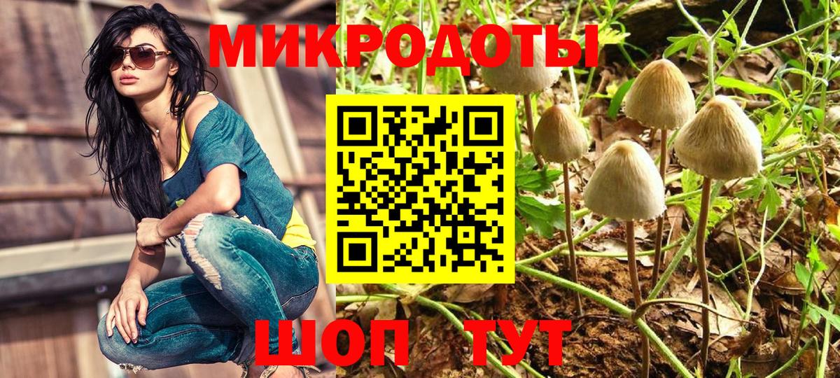 Галлюциногенные грибы мухоморы Кулебаки