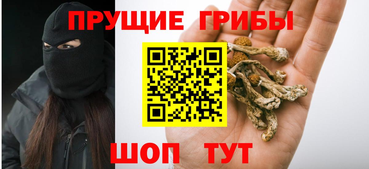 Псилоцибиновые грибы GOLDEN TEACHER  Вход с VPN  Псилоцибиновые грибы Psilocybe  Кулебаки 